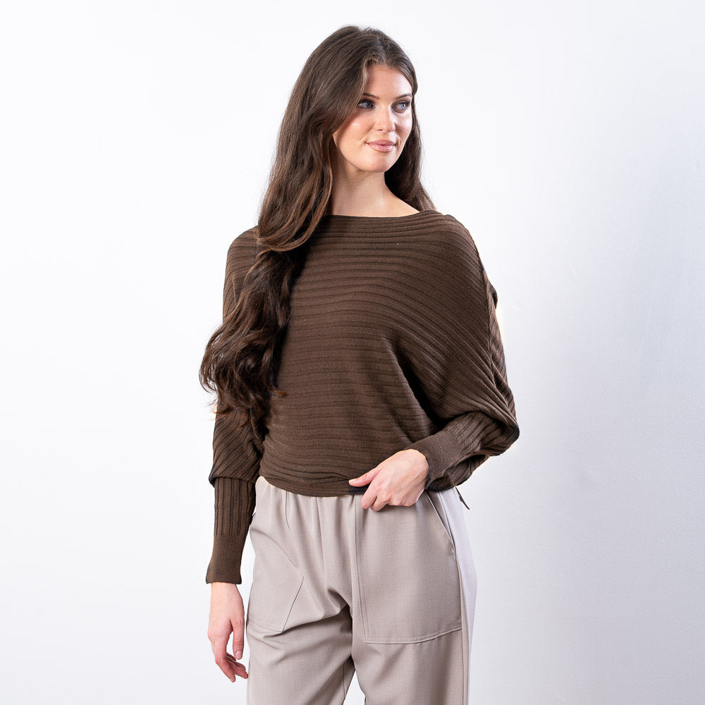 Ellis Batwing Round Neck Top (Brown)