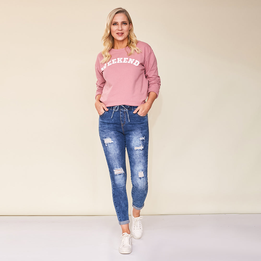 Dana Vintage Jeggings (Blue)