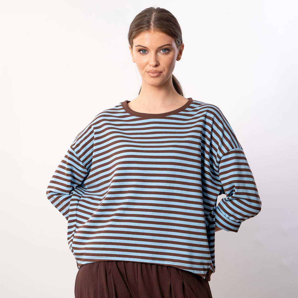 Florence Stripe Top (Blue/Brown)