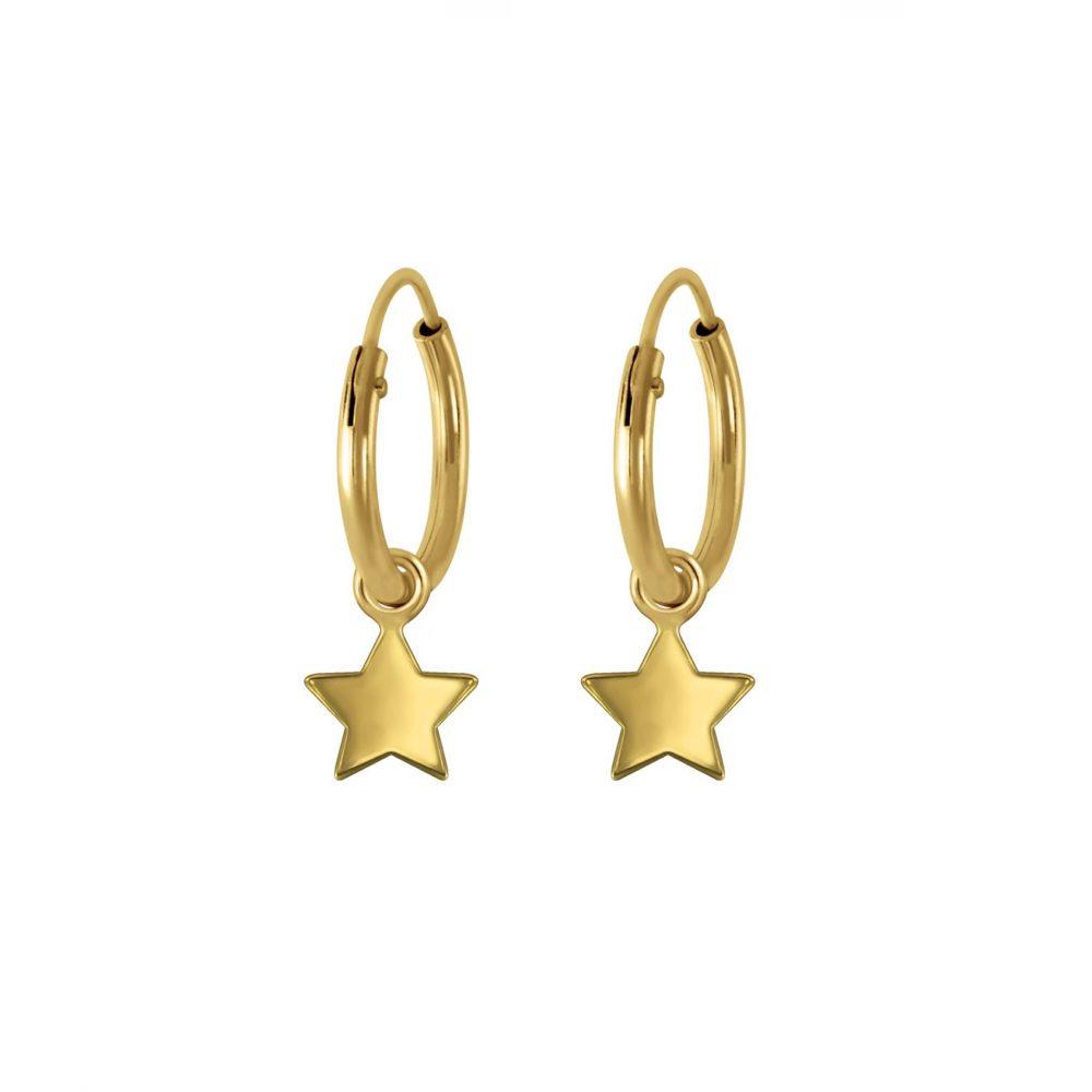 Star Mini Hoop Earings Gold